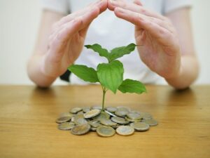 Protecting your investment