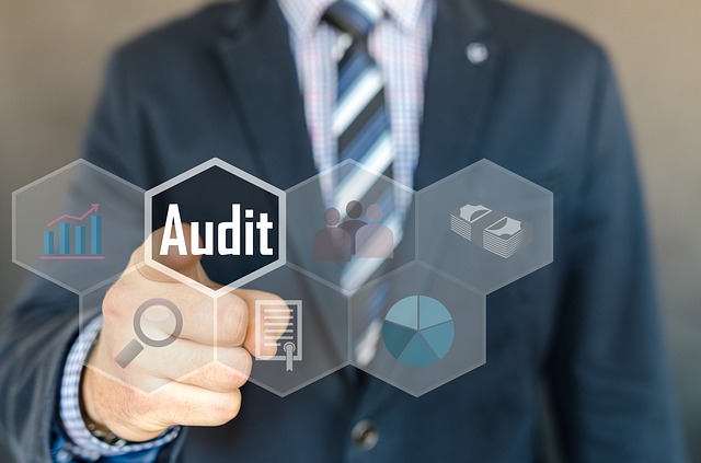 Business man selecting audit