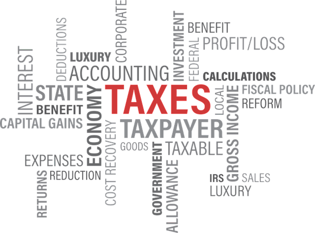 Word diagram for different types of taxes
