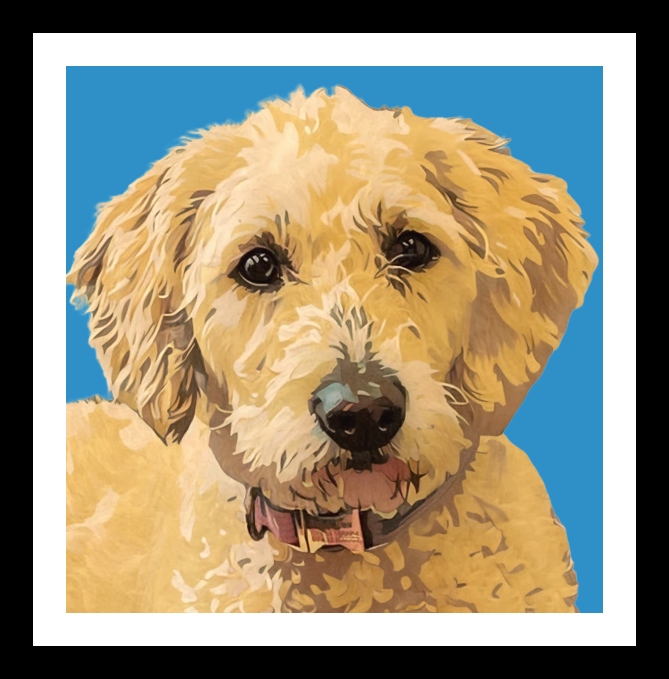 Pearl the dog of re:accounts, Stevenage